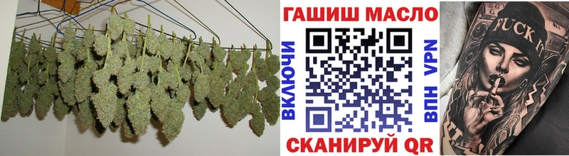 Дистиллят ТГК гашишное масло  Купить закладки  Кореновск 